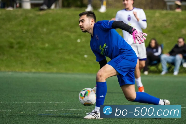 500彩票网服务体系